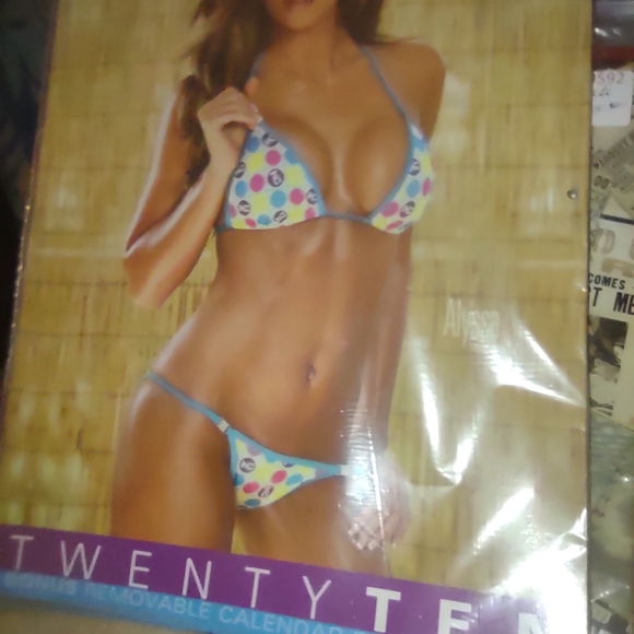 Hooter's Calendar new collectable - Picture 9 of 12